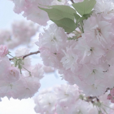 Furry绘画配色实用指南FurryQQ群